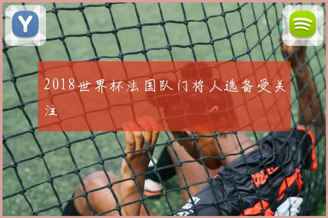 2018世界杯法国队门将人选备受关注