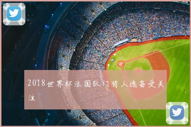 2018世界杯法国队门将人选备受关注